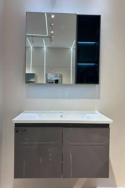 Termite-Resistant PVC Bathroom Vanity
